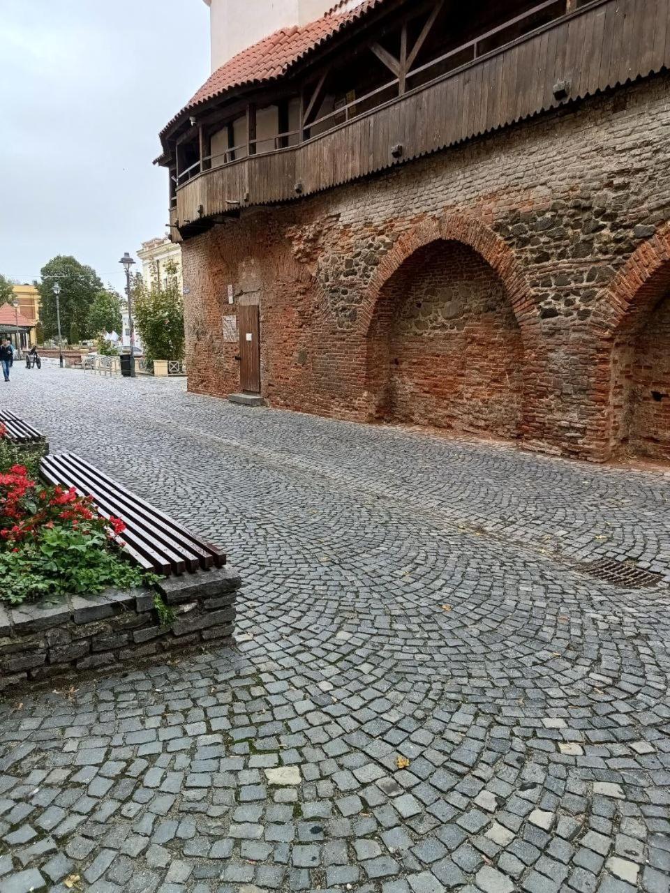 Old Town Cozy Nest Daire Sibiu Dış mekan fotoğraf